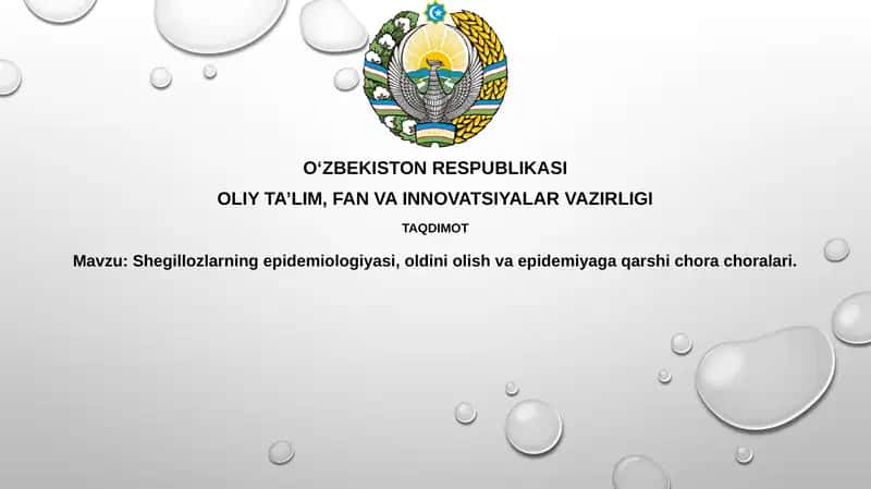 Shigellez: Epidemiologiya va Profilaktika 1