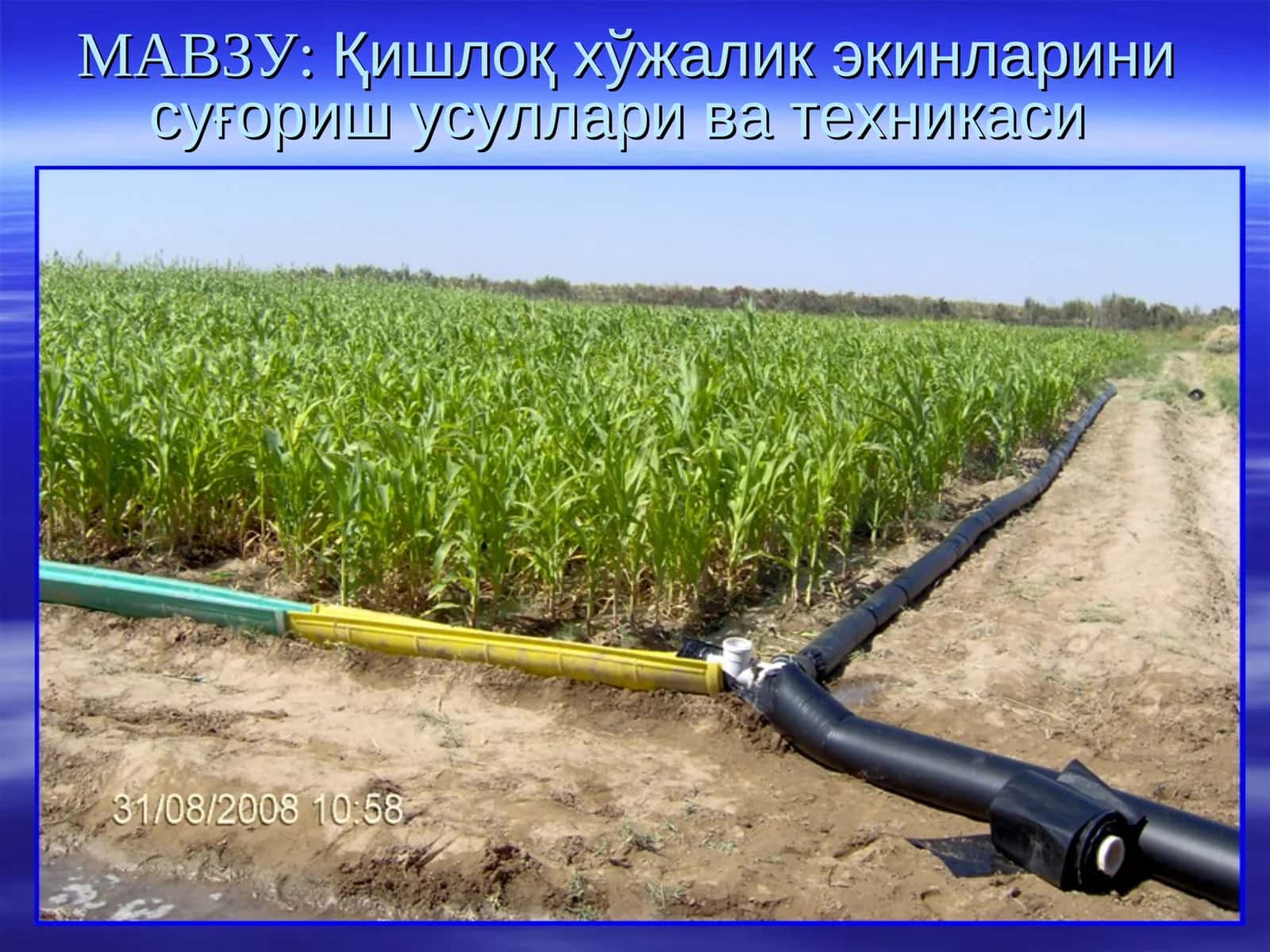 Қишлоқ хўжалик экинларини суғориш усуллари ва техникаси 1