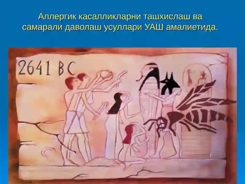 УАШ амалиети