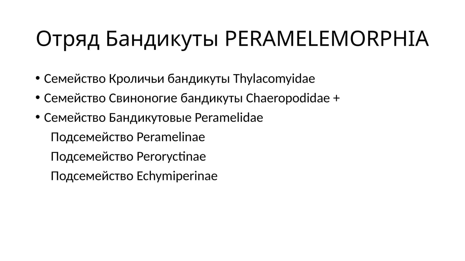 Отряд Бандикуты PERAMELEMORPHIA 1