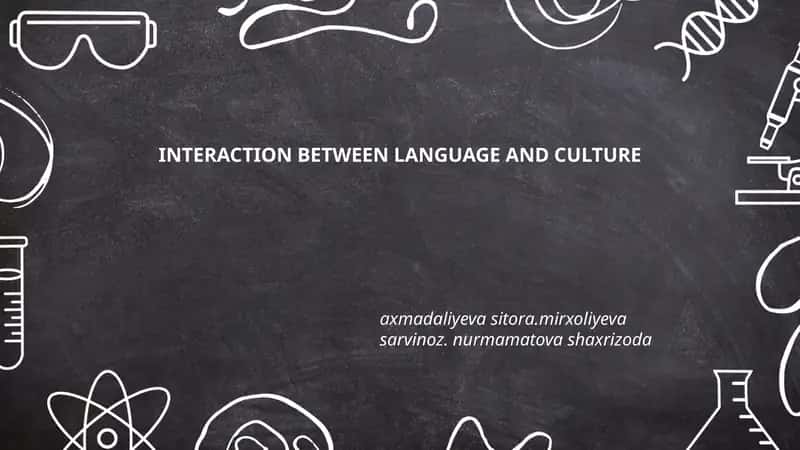 INTERACTION BETWEEN LANGUAGE AND CULTURE 1