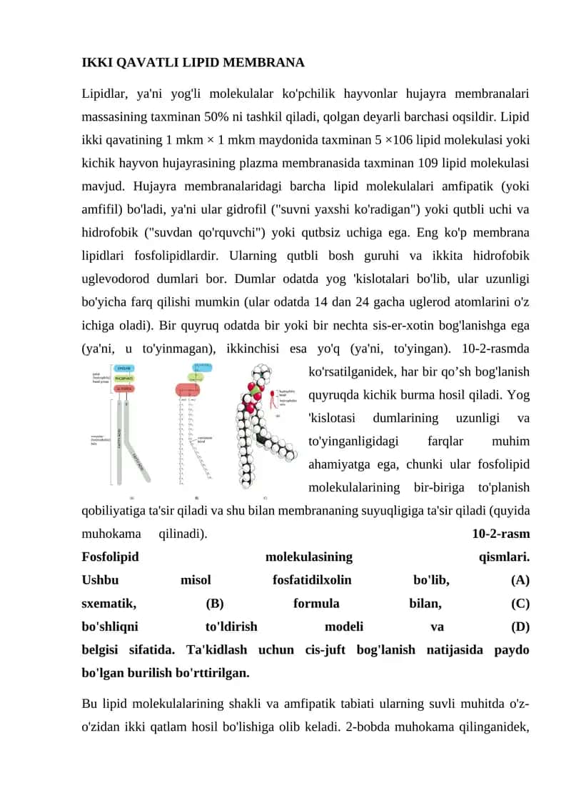 IKKI QAVATLI LIPID MEMBRANA 1