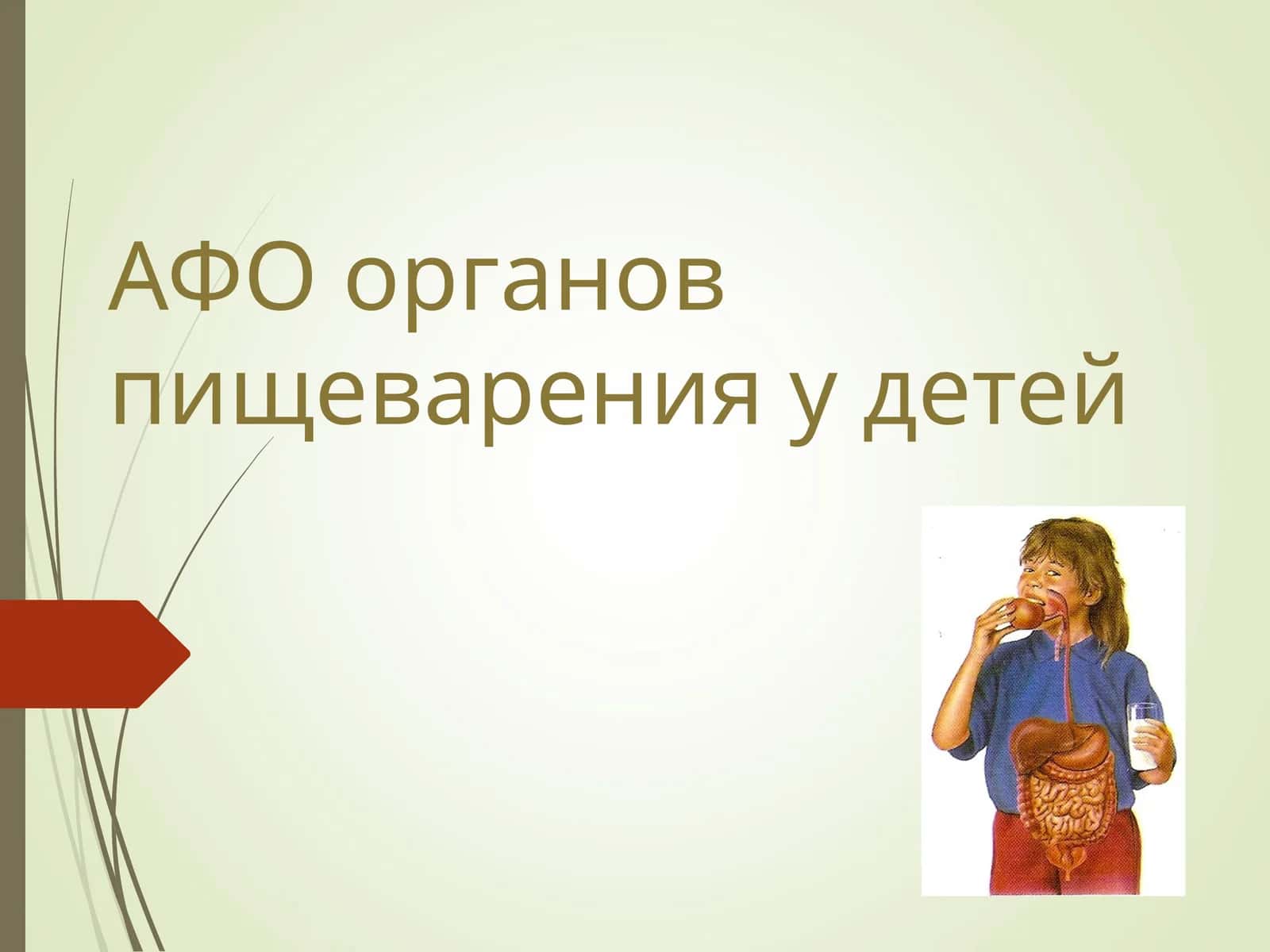 АФО Органы пищеварения у детей 1
