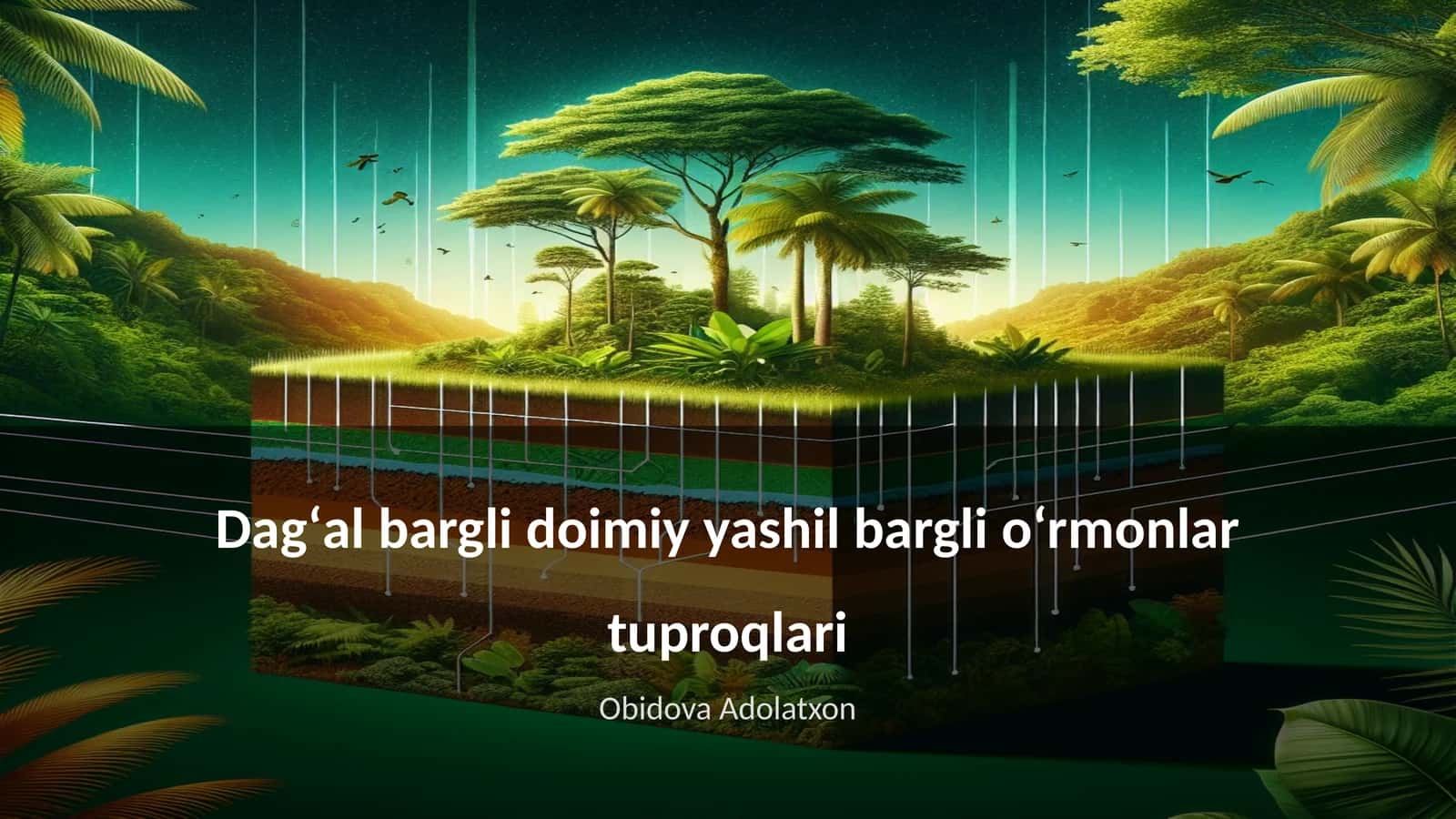 Dagʻal bargli doimiy yashil bargli oʻrmonlar tuproqlari 1