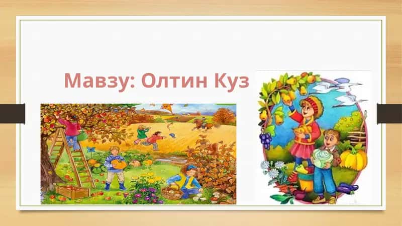 Олтин Куз 1