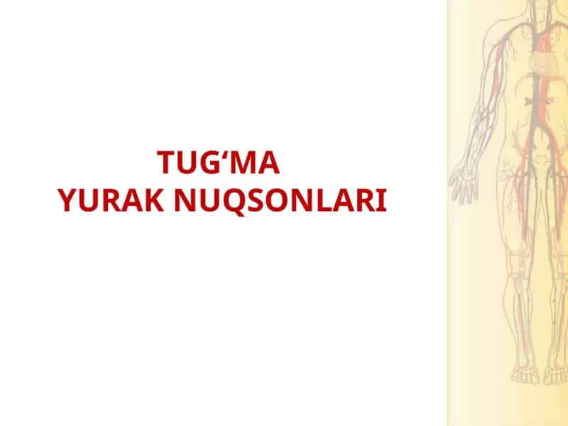 Tug'ma yurak nuxsonlari ppt 1