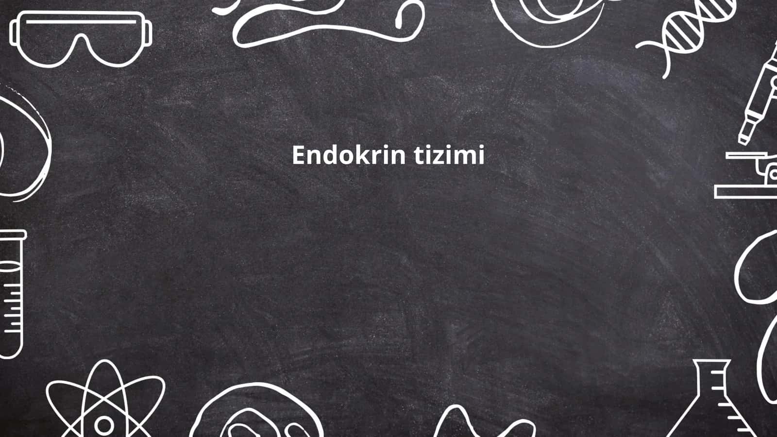 Endokrin tizimi 1