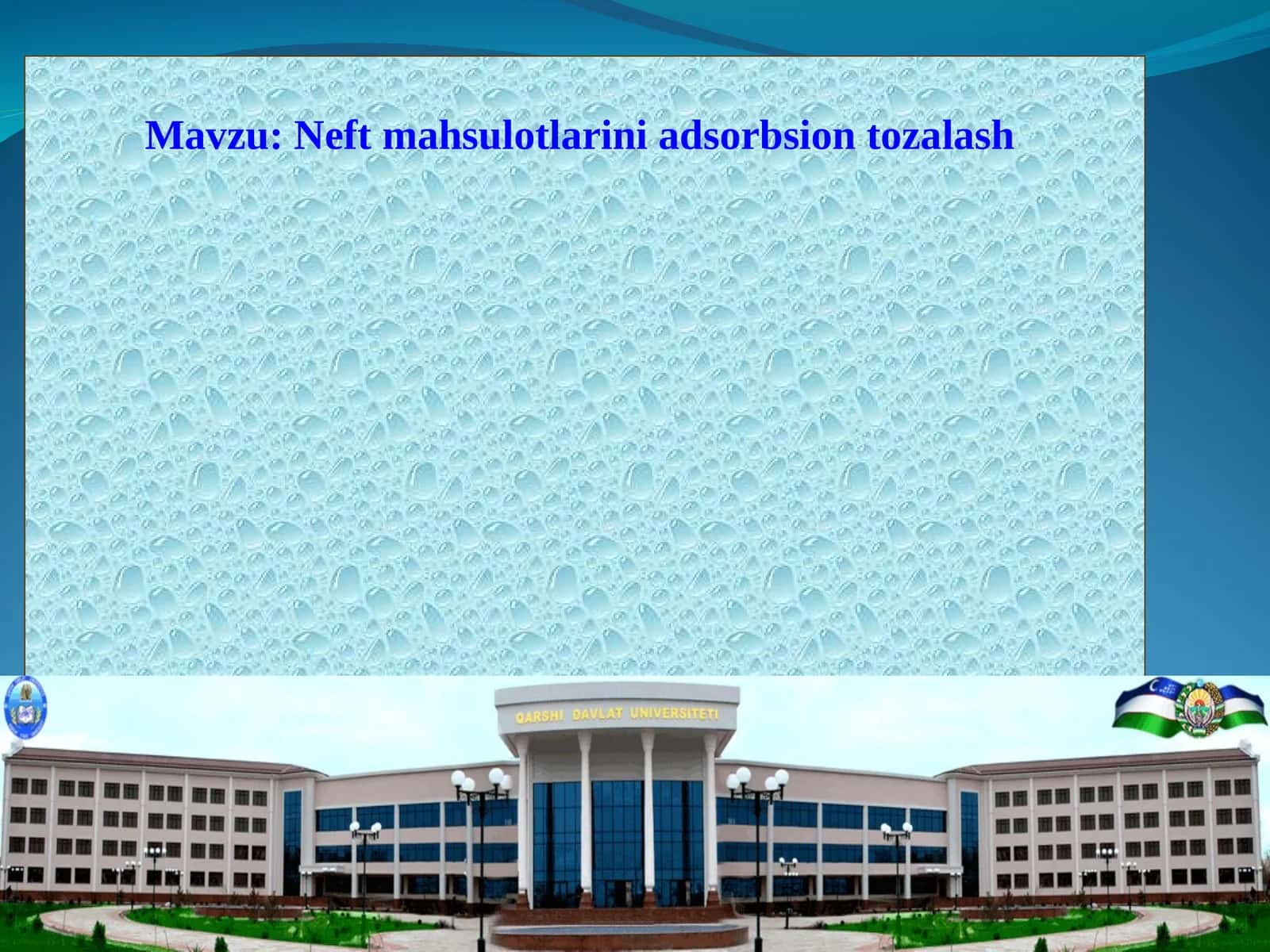 Neft mahsulotlarini adsorbsion tozalash 1