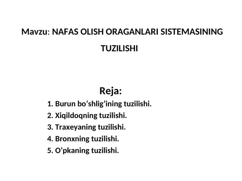 NАFАS ОLISH ОRАGАNLАRI SISTЕMАSINING TUZILISHI 1