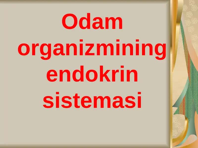 Odam organizmining endokrin sistemasi 1
