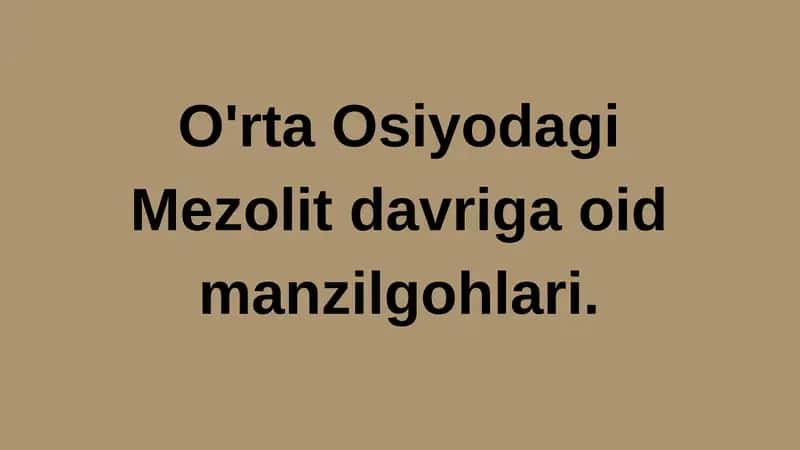 Mezolit davriga oid manzilgohlari 1