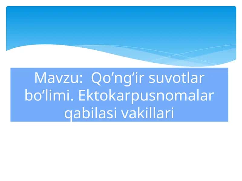 Dengiz suvotlari va ularning moddalari 1