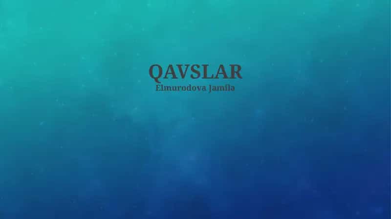 QAVSLAR 1
