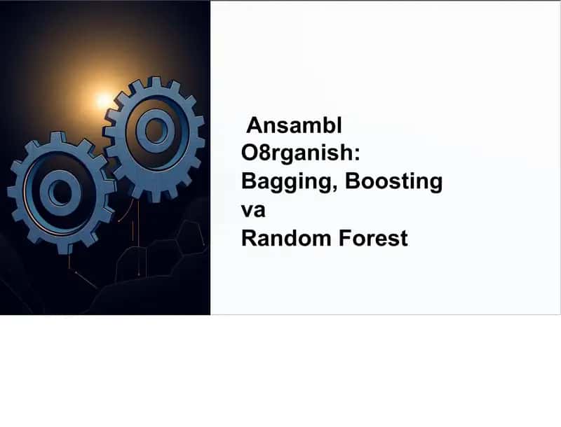 Ansambl O'rganish 1