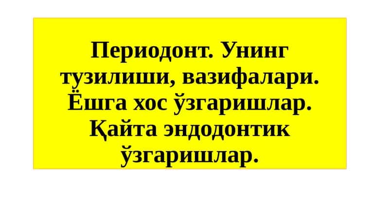 Периодонт 1