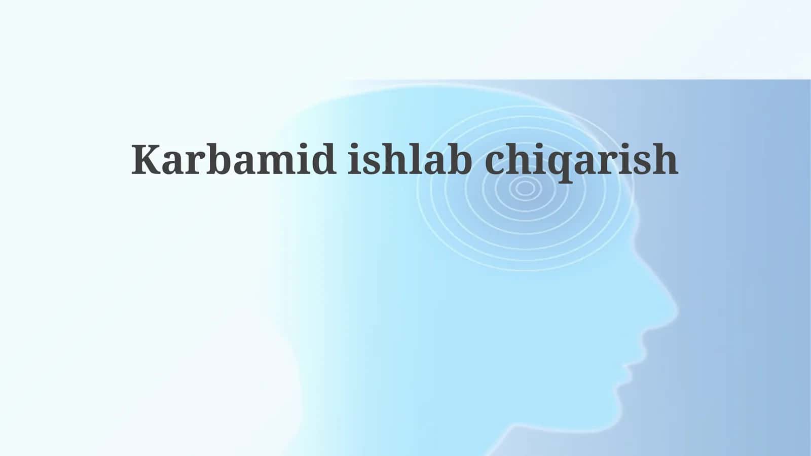 Karbamidishlabchiqarish 1