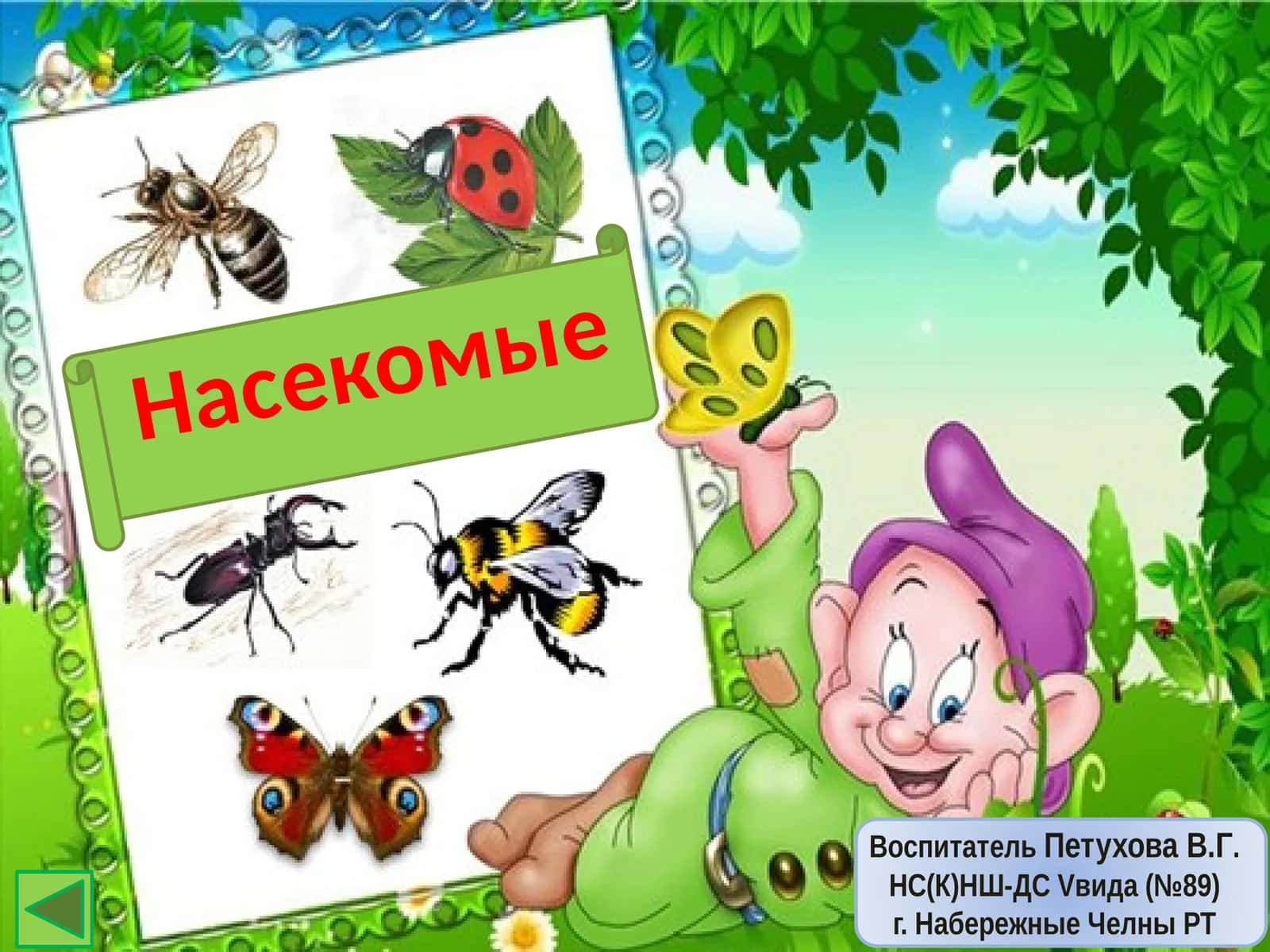 Насекомые 1