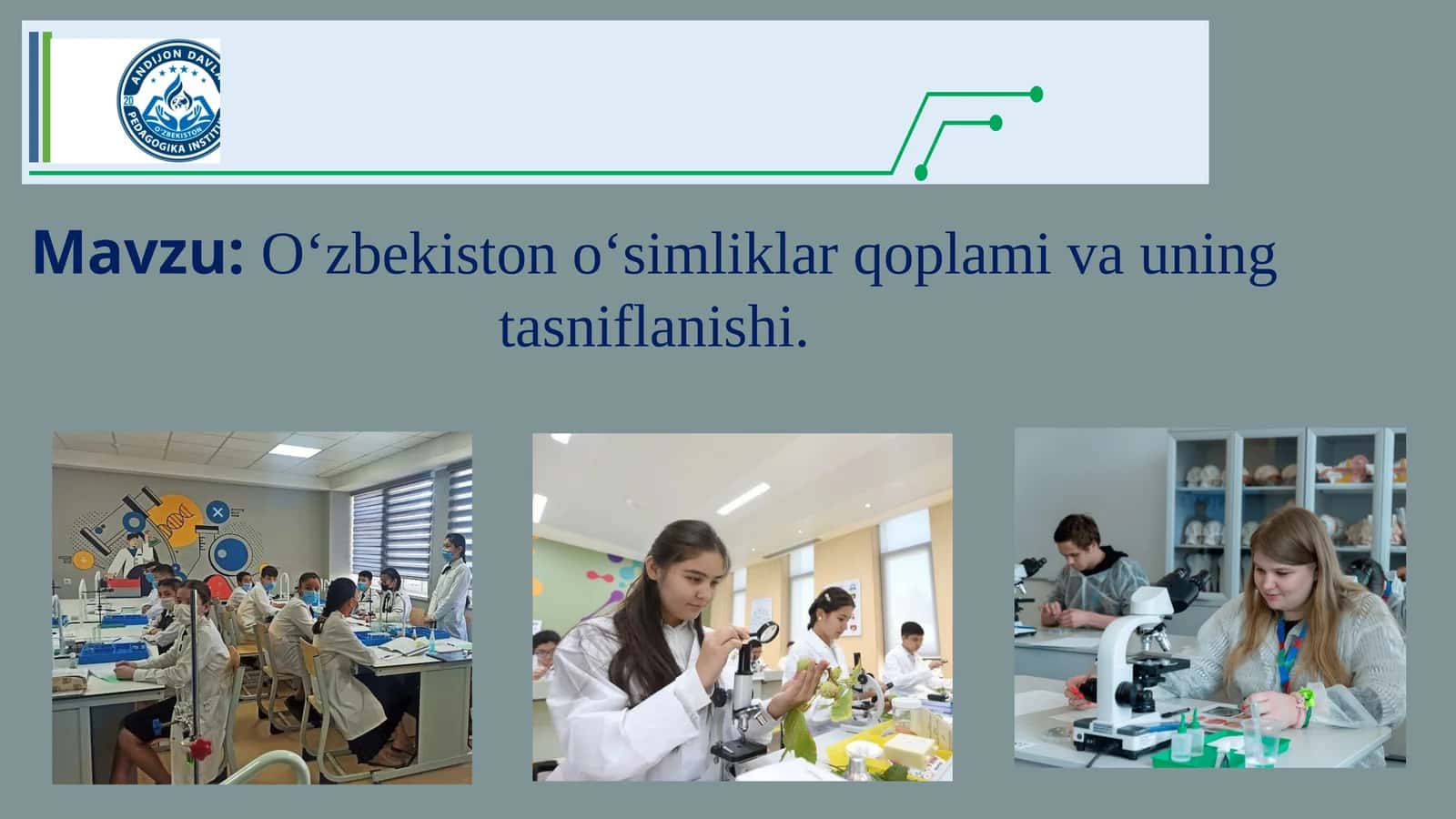 O‘zbekiston o‘simliklar qoplami va uning tasniflanishi 1
