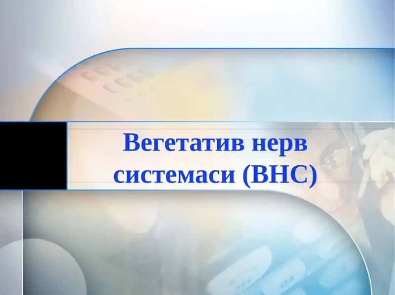 Вегетативнервсистемаси(ВНС) 1