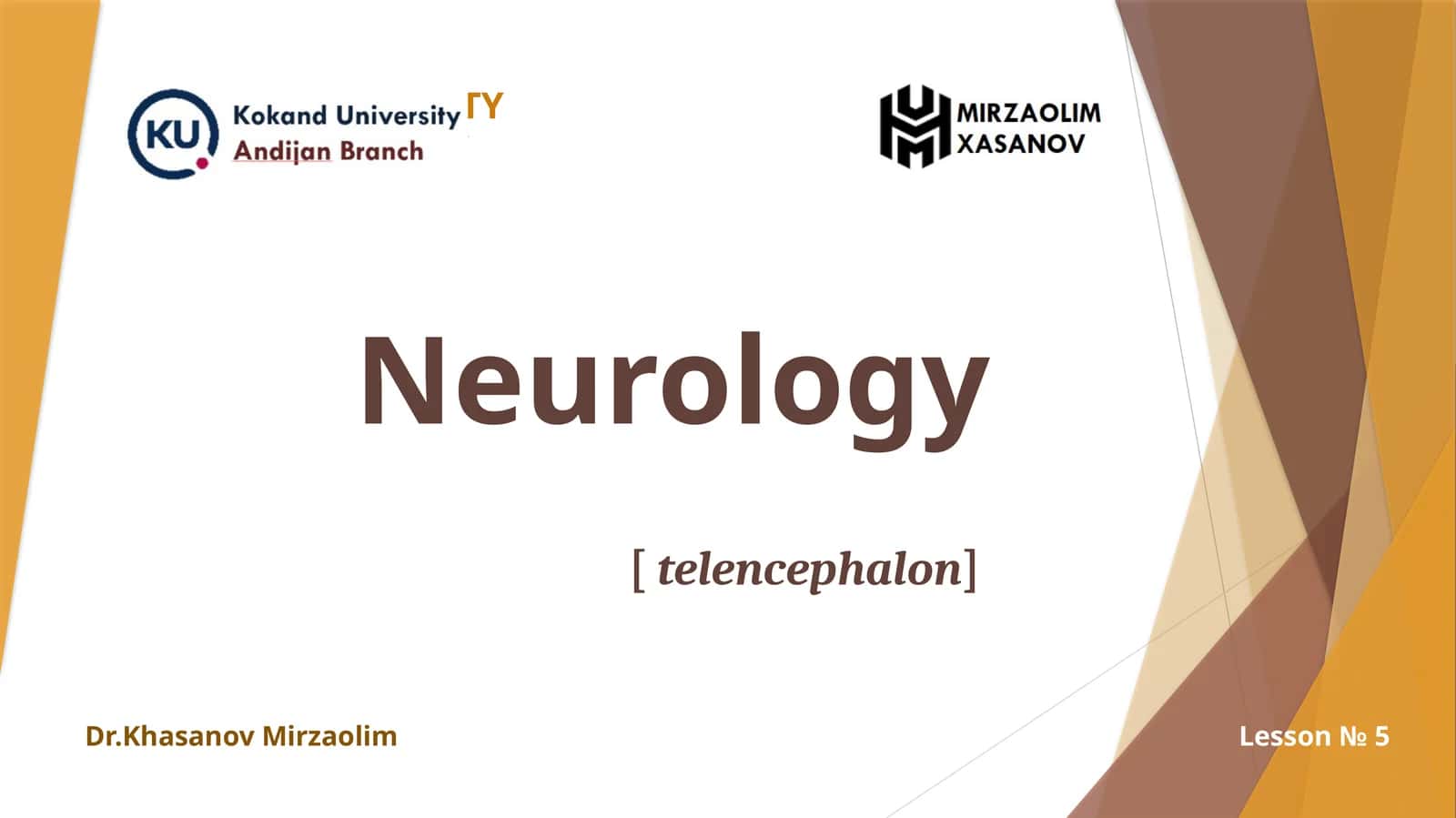 TELENCEPHALON[ BOSH MIYA KATTA YARIMSHARLARI ] 1