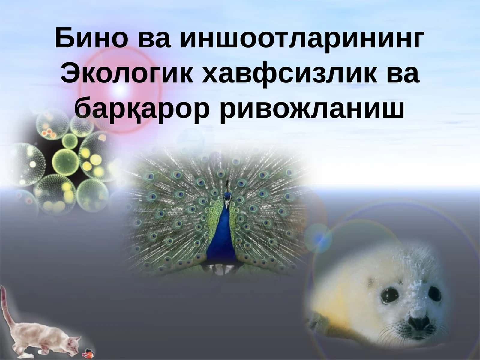 Бино ва иншоотларининг Экологик хавфсизлик ва барқарор ривожланиш 1
