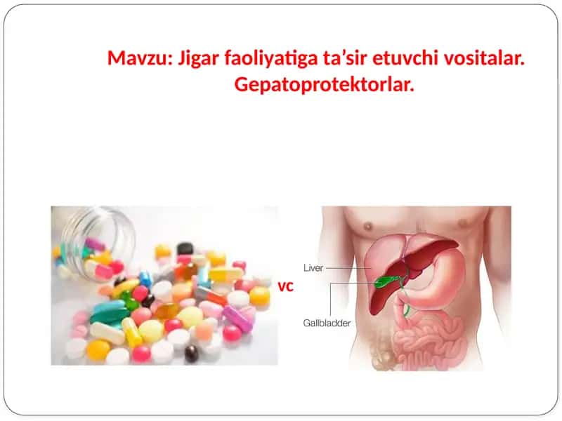Jigar faoliyatiga ta’sir etuvchi vositalar. Gepatoprotektorlar 1