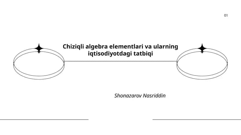 Chiziqli algebra elementlari va ularning iqtisodiyotdagi tatbiqi 1