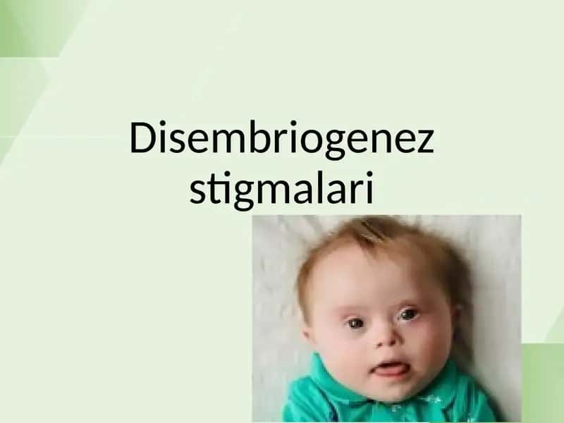 Disembriogenez stigmalari 1
