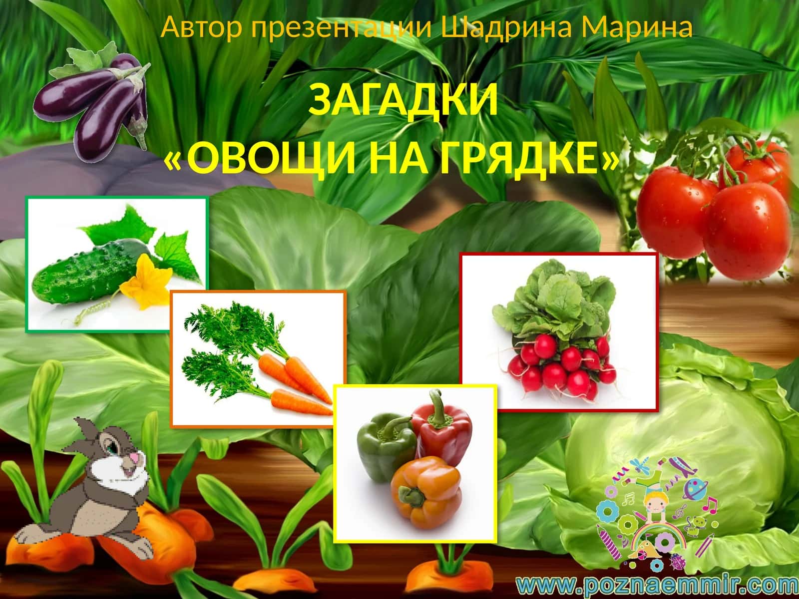 ЗАГАДКИ«ОВОЩИ НА ГРЯДКЕ» 1