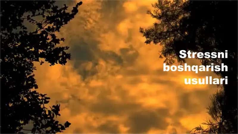 Stressni boshqarish usullari 1