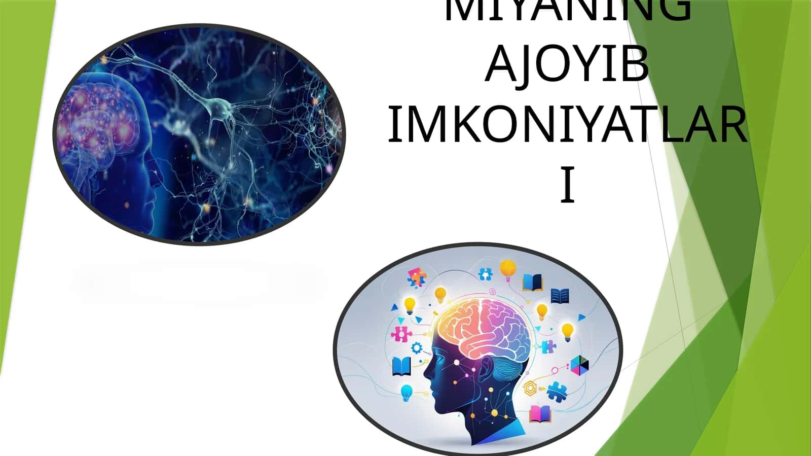 INSON MIYASINING TUZILISHI VA ASOSIY FAOLIYATI 1