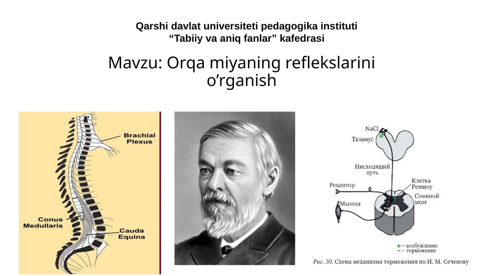 Orqa miyaning reflekslarini o’rganish 1
