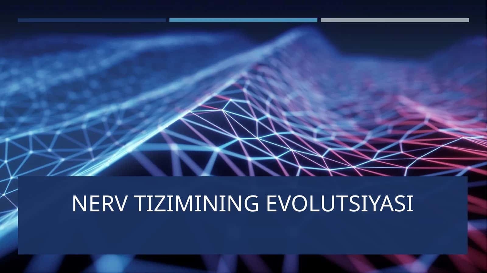 NERV TIZIMINING EVOLUTSIYASI 1