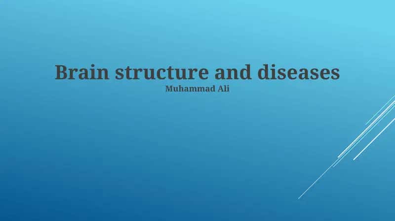 Brain structure and diseases 1