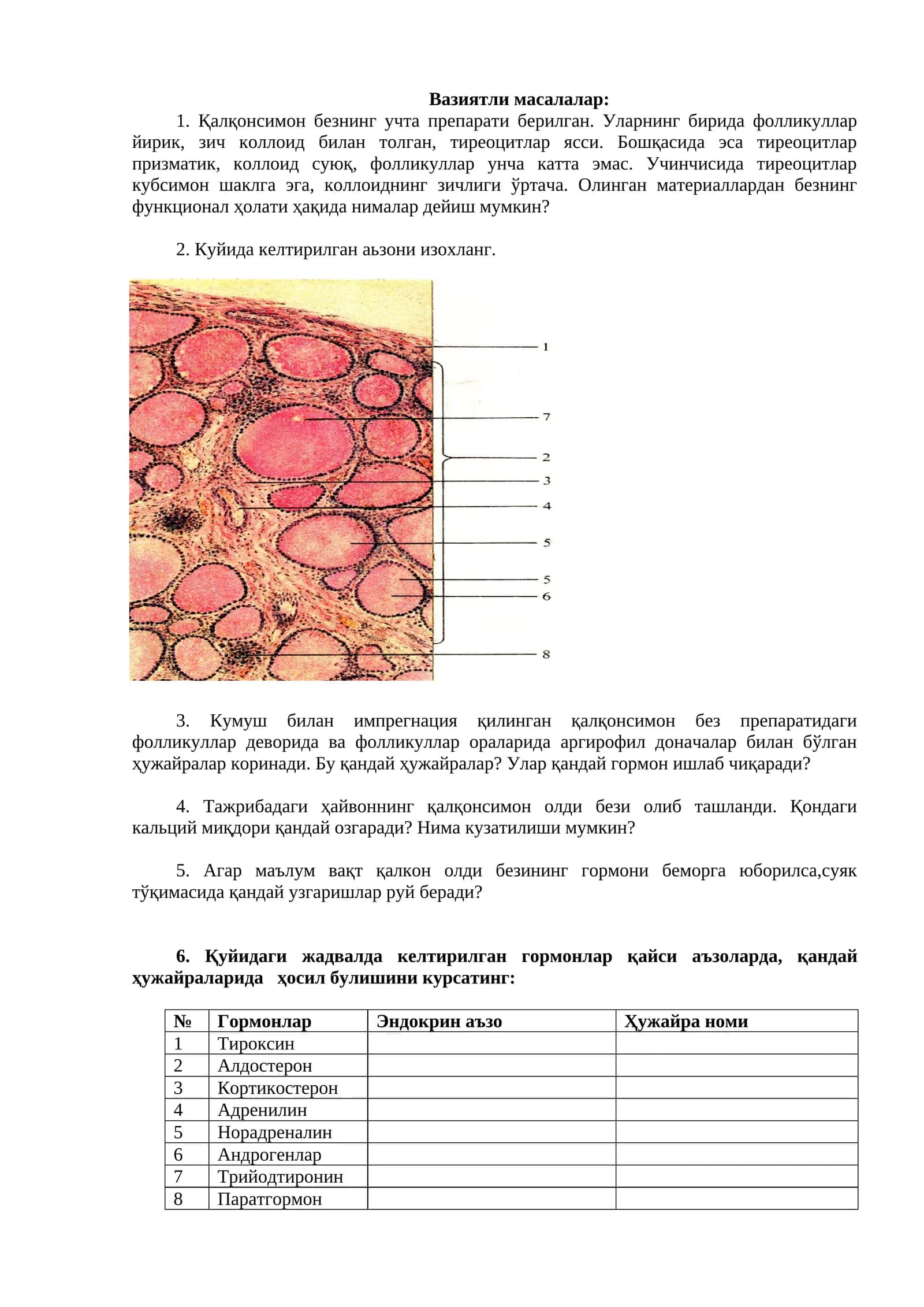 Қалқонсимон безнинг функционал ҳолати 1