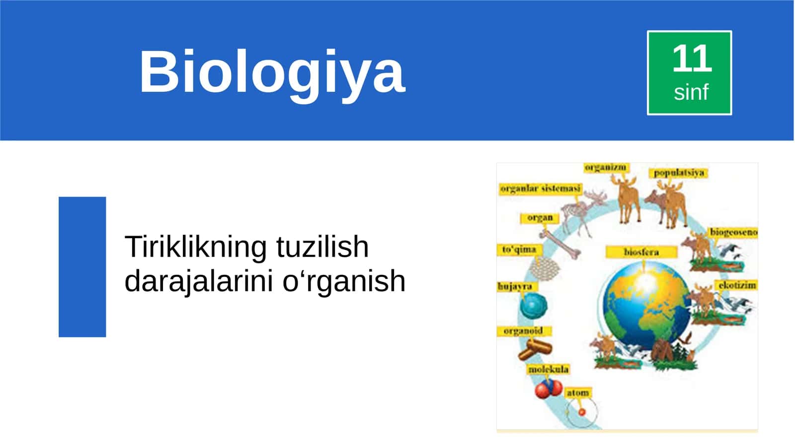 Ekologiya savollari 1