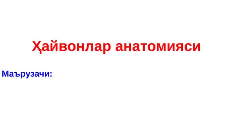 Ҳайвонлар анатомияси 1