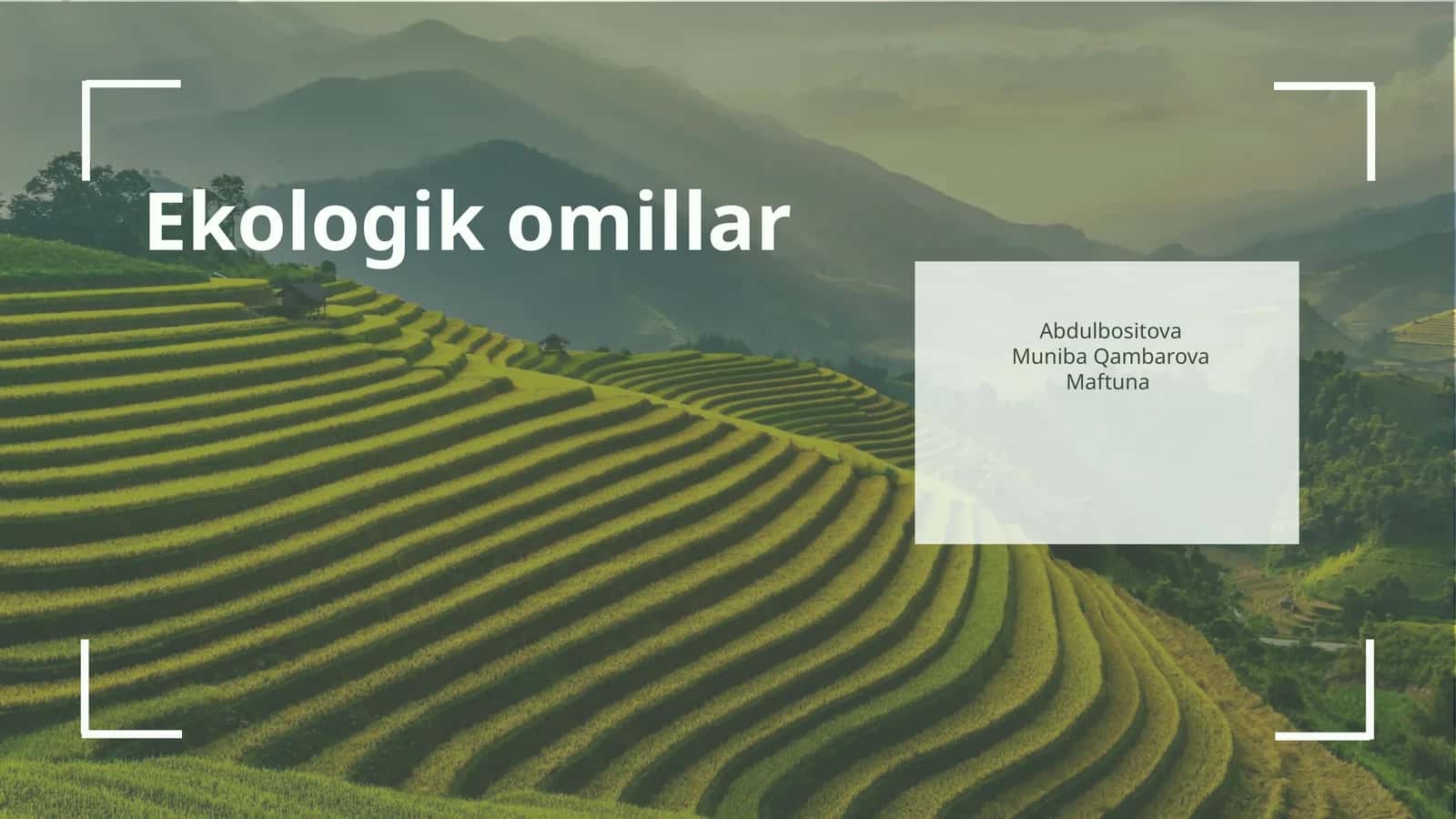Ekologik omillar 1