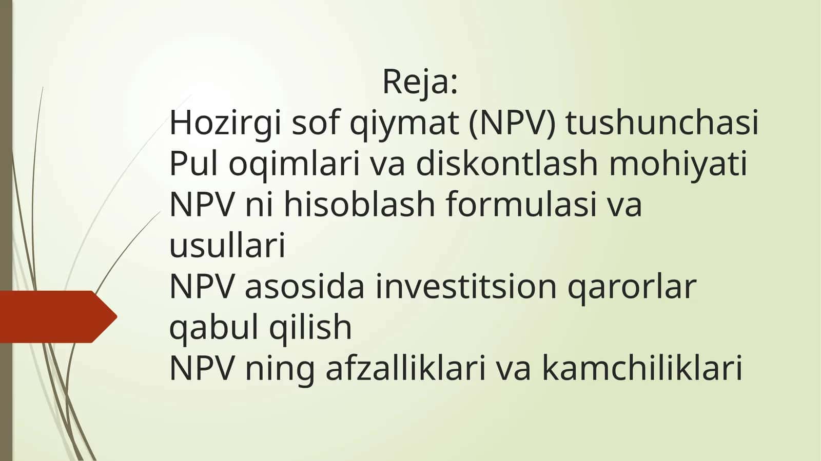Hozirgi sof qiymat ( NPV) tushunchasi 1
