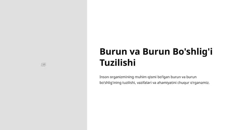 Burun va Burun Bo'shlig'i Tuzilishi 1