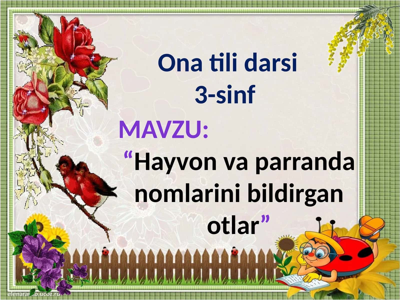 “Hayvon va parrandalar nomlari” 1