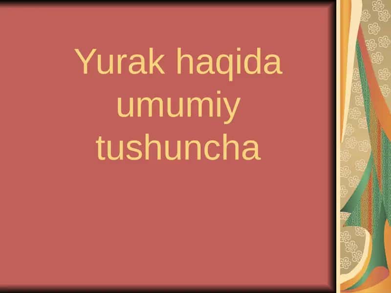 Yurak haqida umumiy tushuncha 1