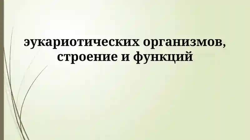 Эукариотлар