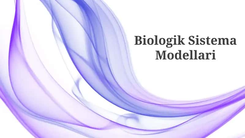 Biologik Sistema Modellari 1