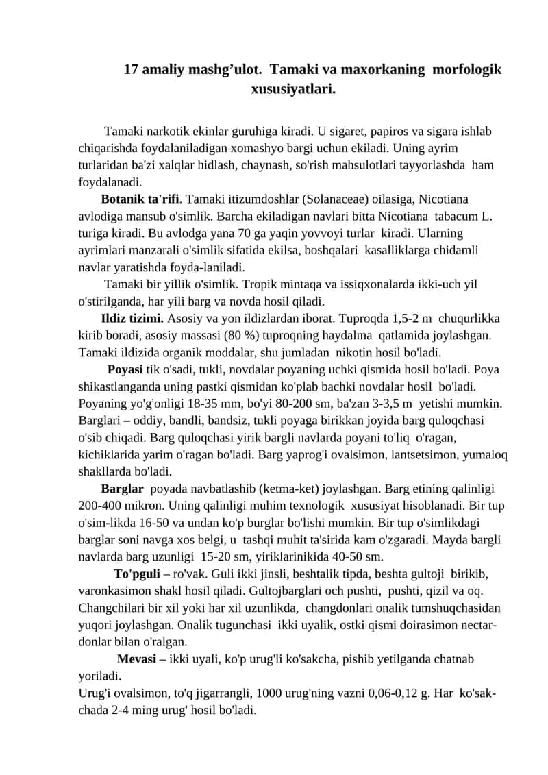 Tamaki va maxorkaning morfologik xususiyatlari 1