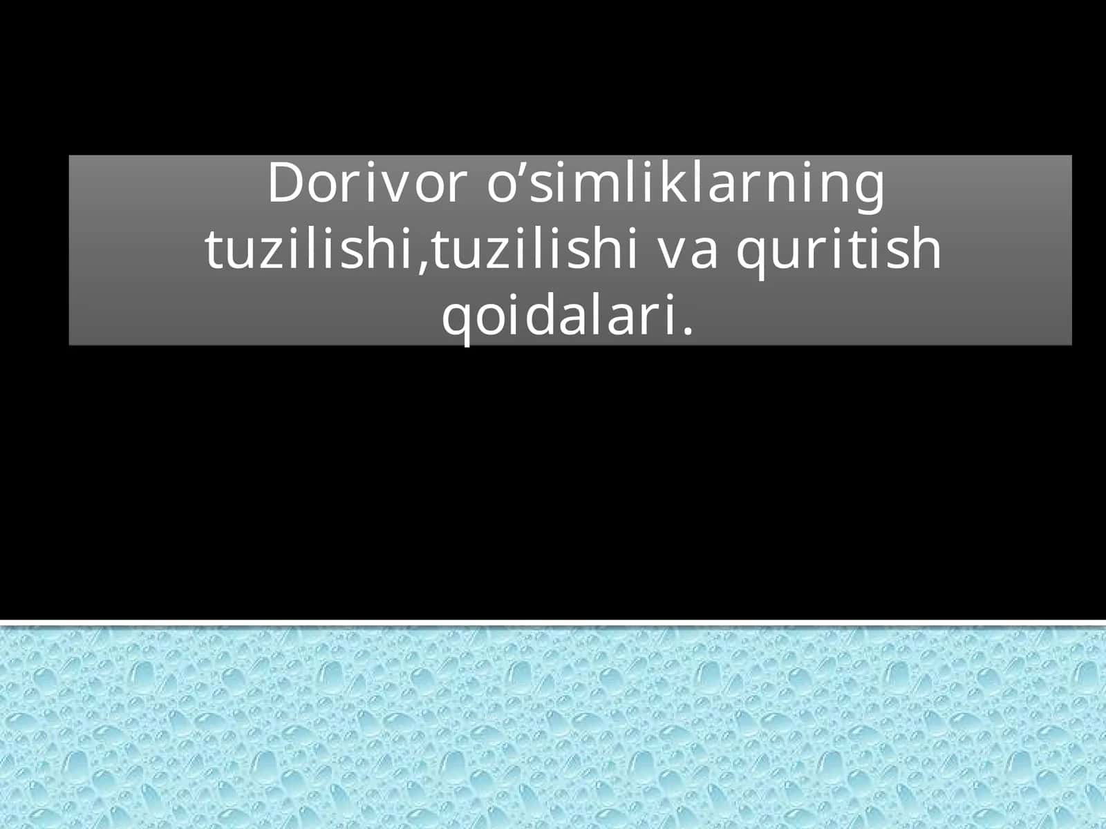 Zirk qoraqand 1