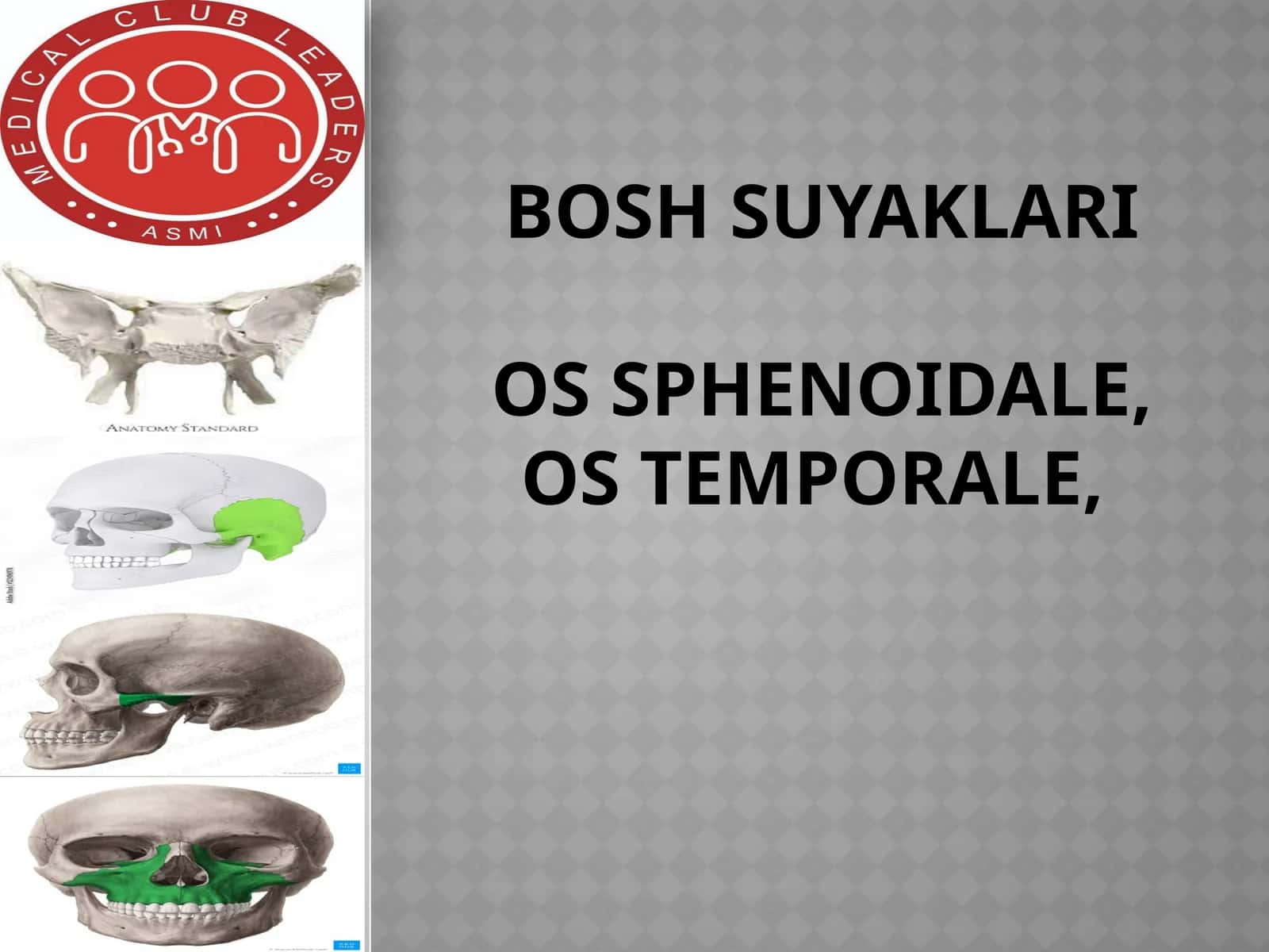 Boshsuyaklari ossphenoidale, os temporale 1