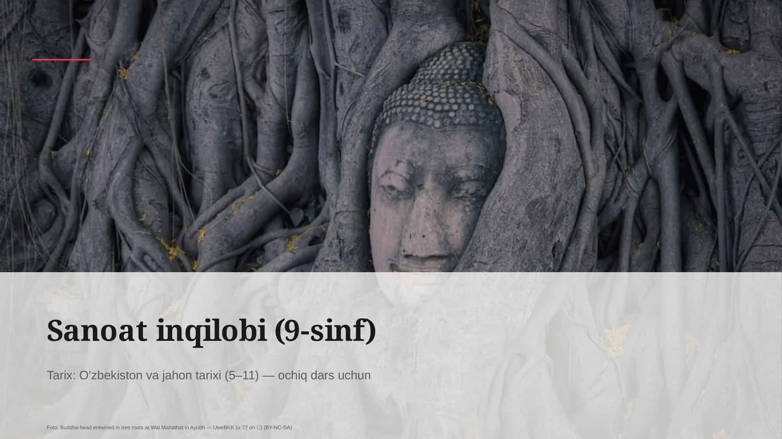 Sanoat inqilobi (9-sinf) 1