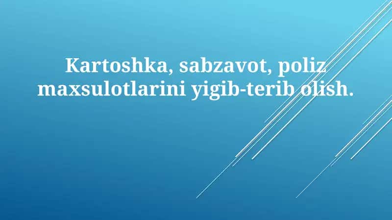 Kartoshka hosilini yig'ishtirish 1