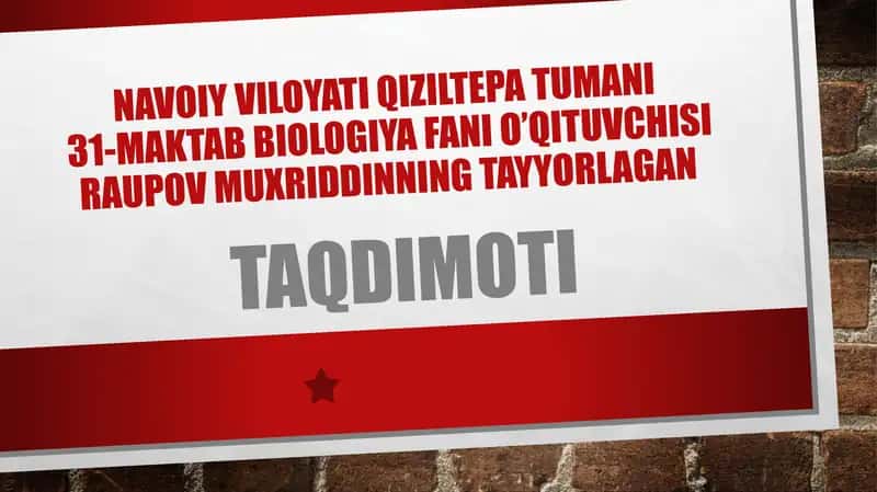 Vitaminlar va ularning ahamiyati 1